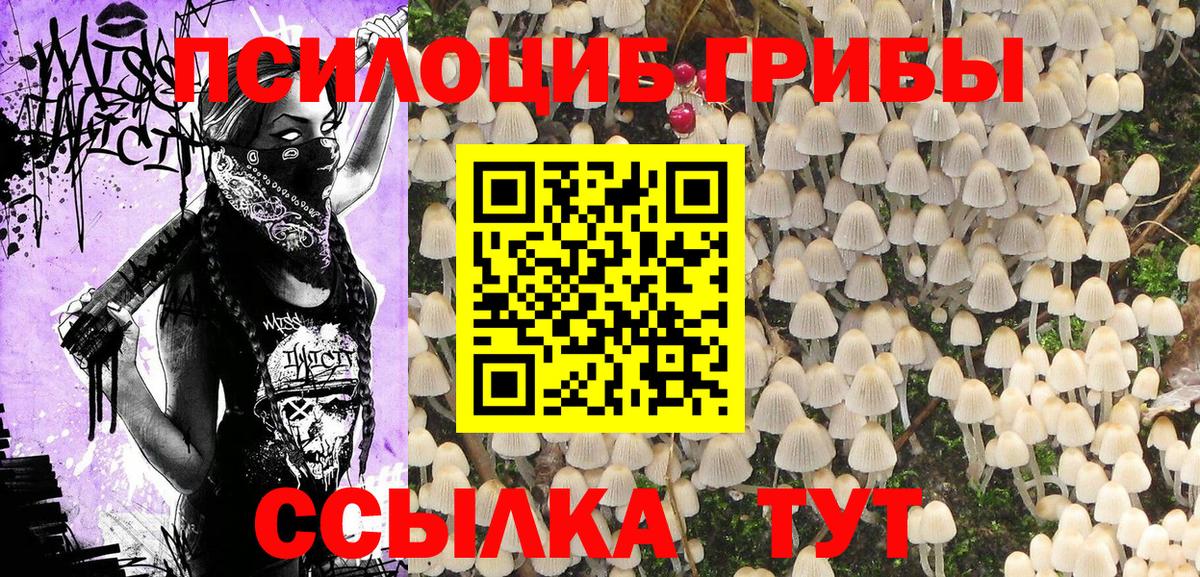 Галлюциногенные грибы Cubensis  Галлюциногенные грибы Psilocybe  Кимры  Вход с VPN 