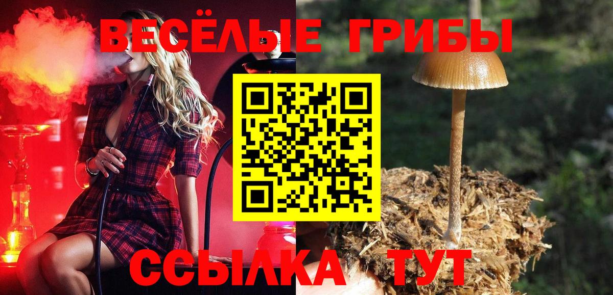 Кимры  Метамфетамин  Кокаин  Вход с VPN  Марихуана  ГАШИШ  A-PVP СК   МЕФ кристаллы 